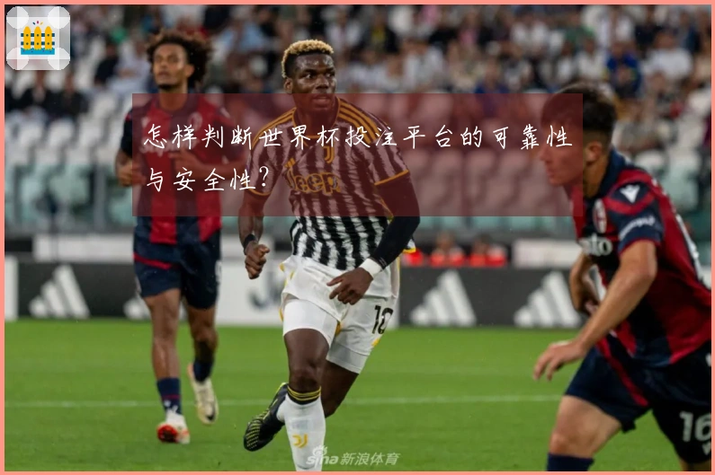 怎样判断世界杯投注平台的可靠性与安全性？