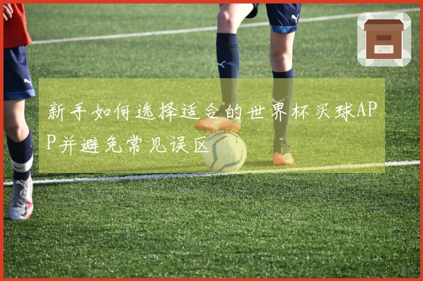 新手如何选择适合的世界杯买球APP并避免常见误区