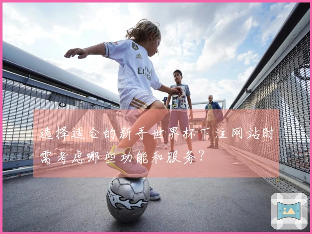 选择适合的新手世界杯下注网站时需考虑哪些功能和服务？
