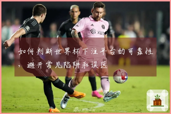 如何判断世界杯下注平台的可靠性，避开常见陷阱和误区