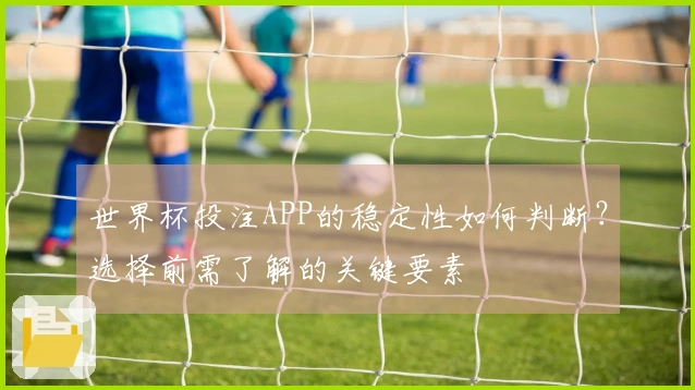 世界杯投注APP的稳定性如何判断？选择前需了解的关键要素