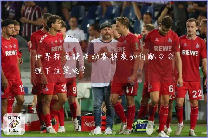 世界杯竞猜活动赛程表如何配合合理下注策略？
