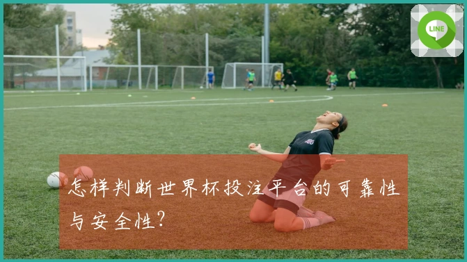 怎样判断世界杯投注平台的可靠性与安全性？