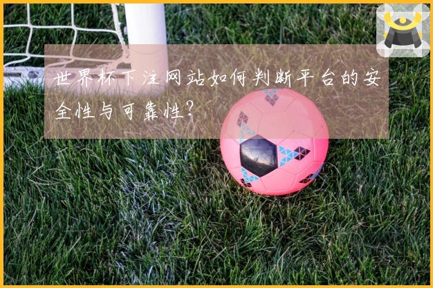 世界杯下注网站如何判断平台的安全性与可靠性？