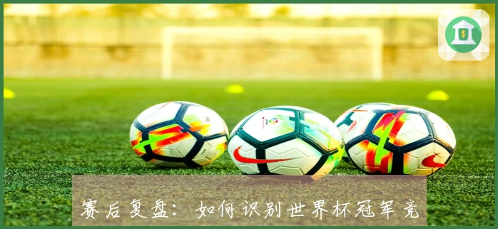 赛后复盘：如何识别世界杯冠军竞猜中的常见风险与陷阱