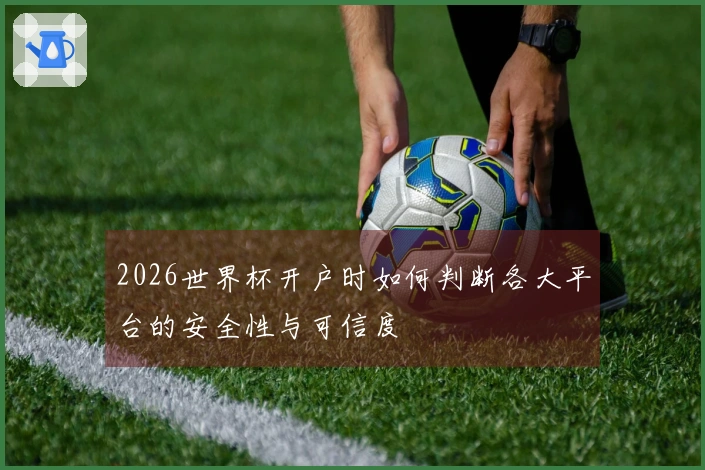2026世界杯开户时如何判断各大平台的安全性与可信度