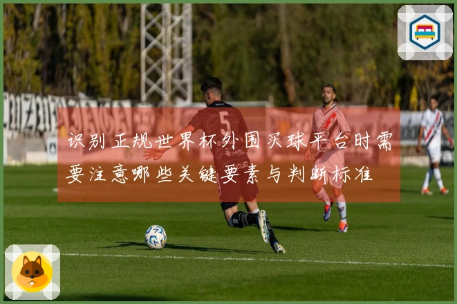 识别正规世界杯外围买球平台时需要注意哪些关键要素与判断标准