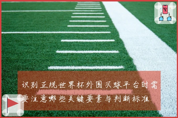 识别正规世界杯外围买球平台时需要注意哪些关键要素与判断标准
