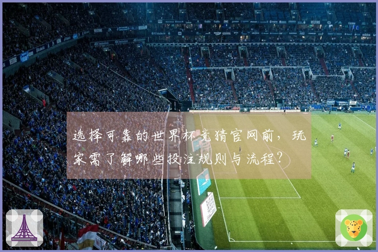 选择可靠的世界杯竞猜官网前，玩家需了解哪些投注规则与流程？