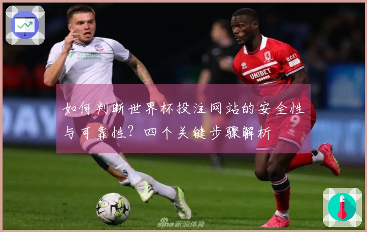 如何判断世界杯投注网站的安全性与可靠性？四个关键步骤解析