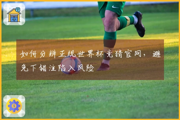 如何分辨正规世界杯竞猜官网，避免下错注陷入风险
